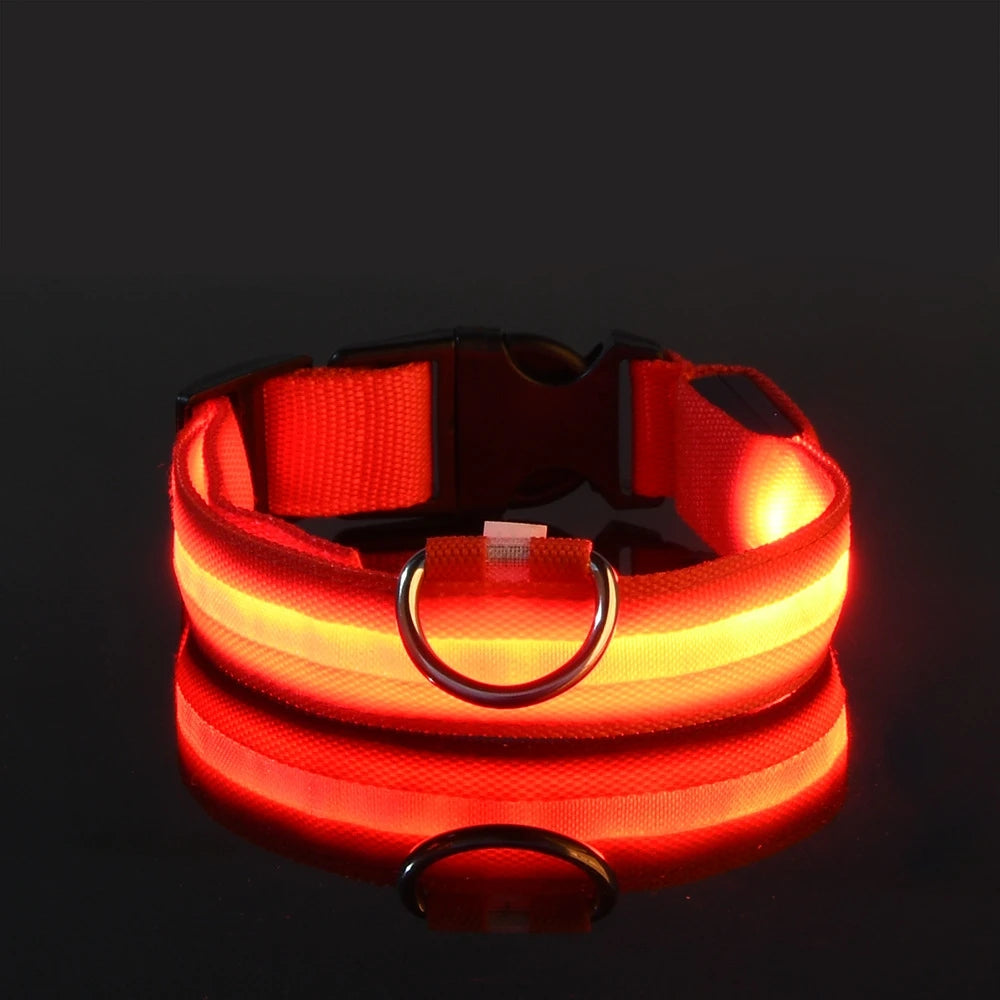 Nylon LEDLED Glow Dog Leash