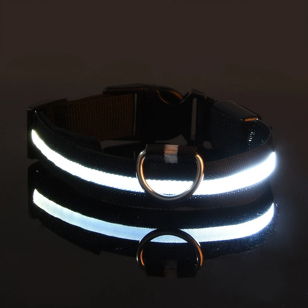 Nylon LEDLED Glow Dog Leash
