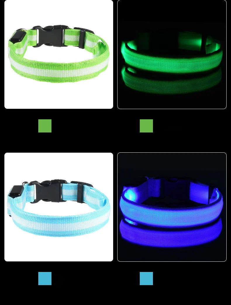 Nylon LEDLED Glow Dog Leash