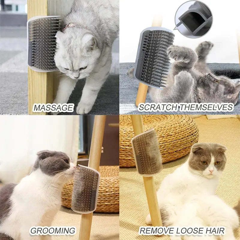 Massage Cat Corner Massage Brush