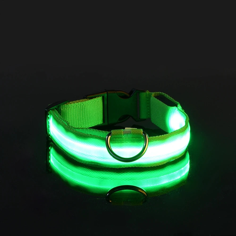 Nylon LEDLED Glow Dog Leash