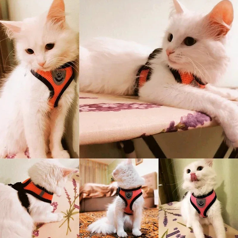 Cat Harness Vest, Adjustable Pet Harness Vest