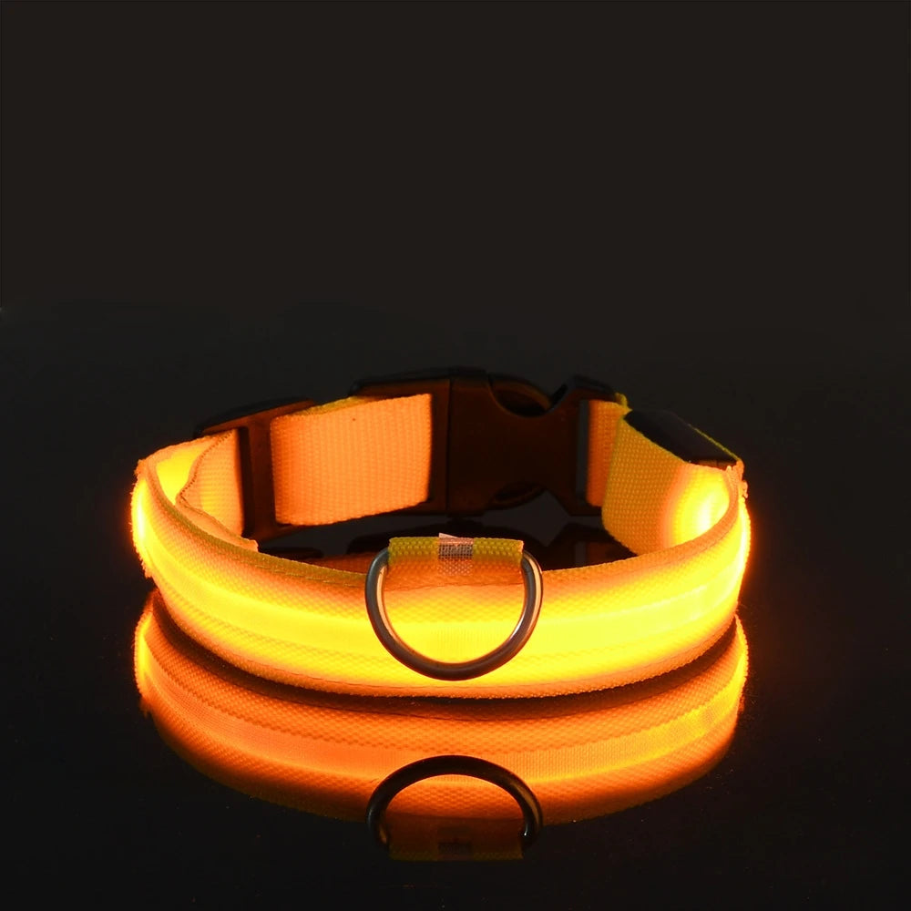Nylon LEDLED Glow Dog Leash