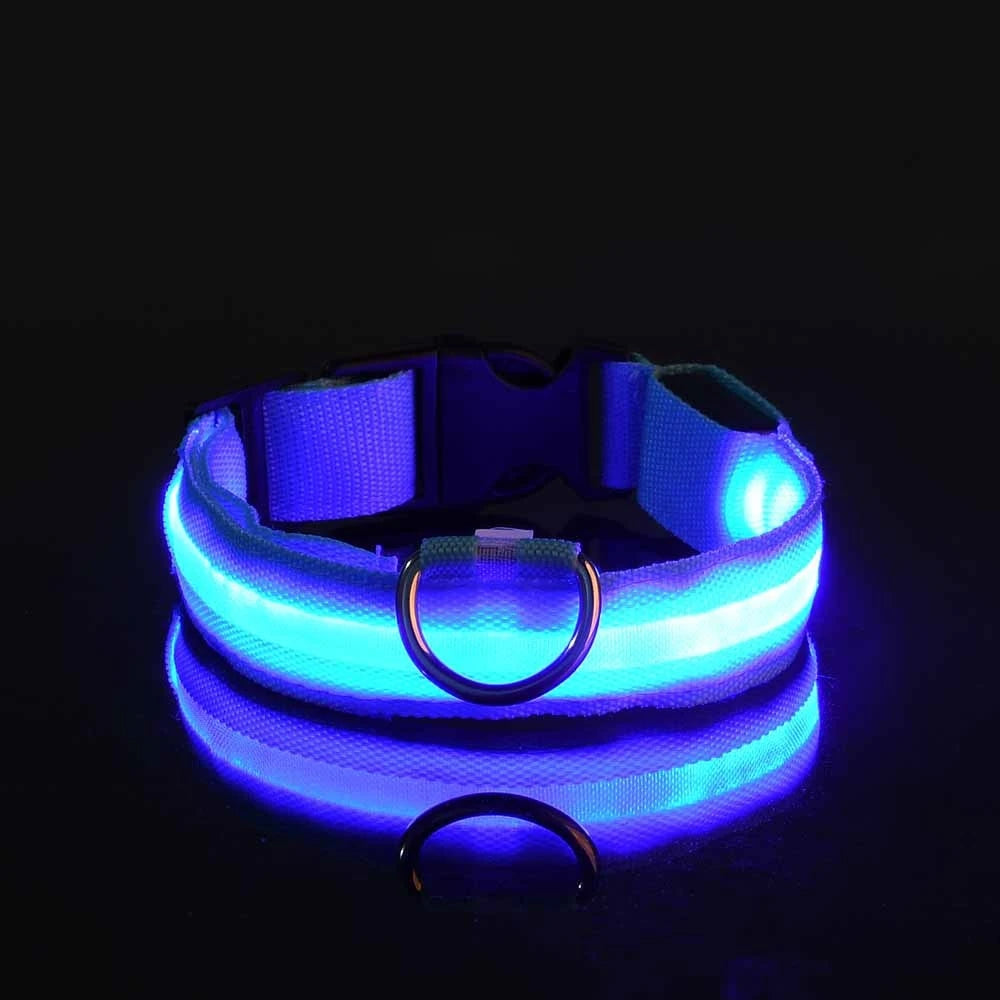 Nylon LEDLED Glow Dog Leash