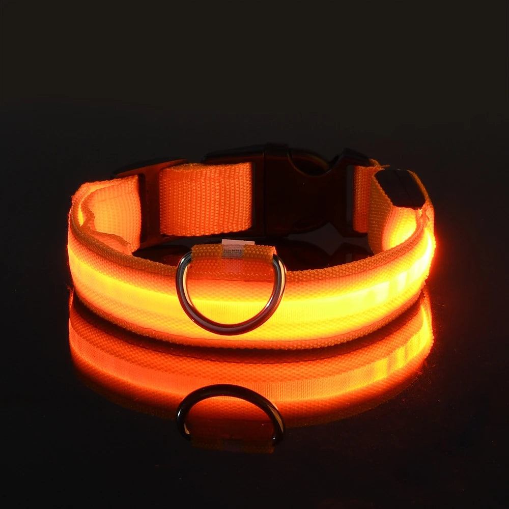 Nylon LEDLED Glow Dog Leash