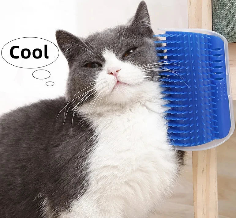 Massage Cat Corner Massage Brush