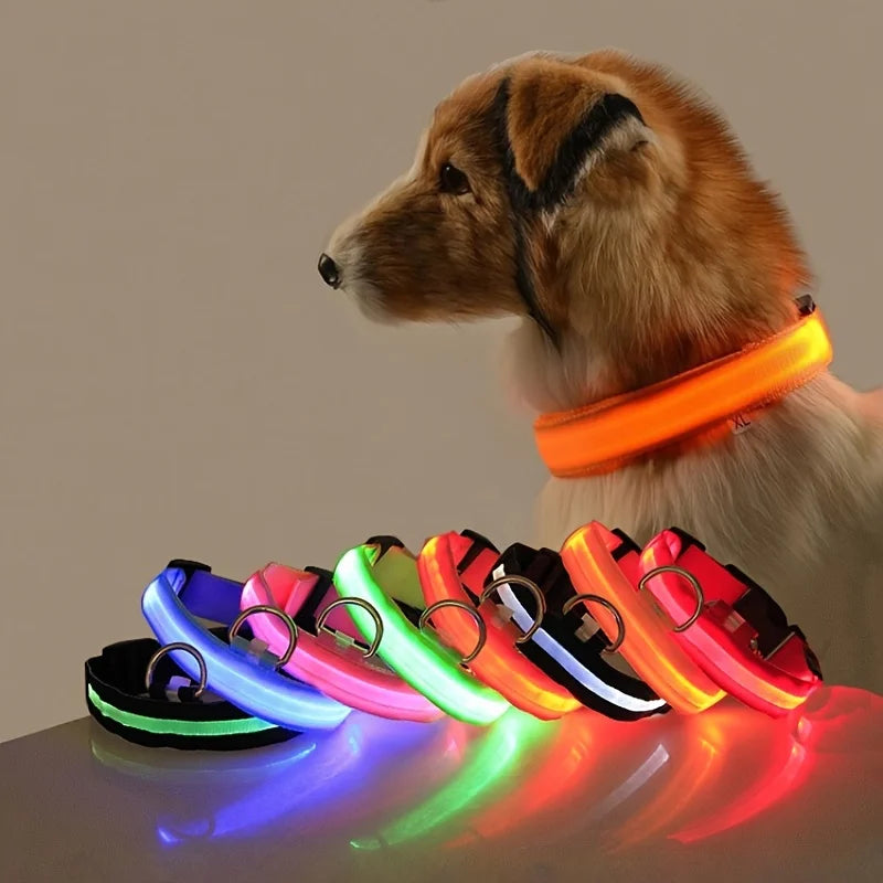 Nylon LEDLED Glow Dog Leash