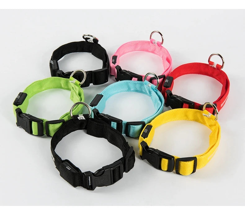 Nylon LEDLED Glow Dog Leash