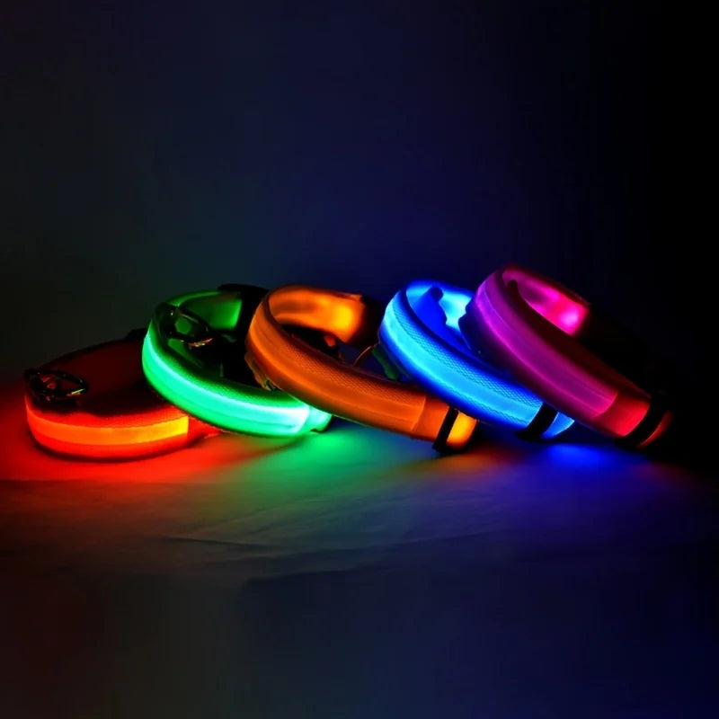 Nylon LEDLED Glow Dog Leash