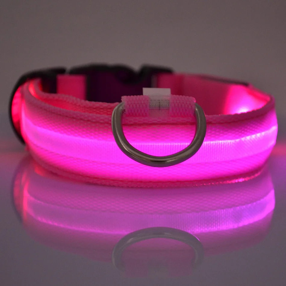 Nylon LEDLED Glow Dog Leash