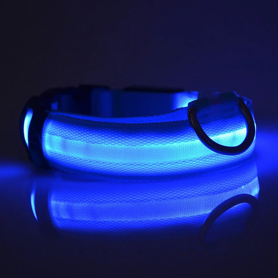 Nylon LEDLED Glow Dog Leash