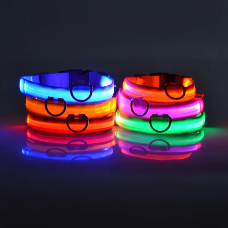 Nylon LEDLED Glow Dog Leash