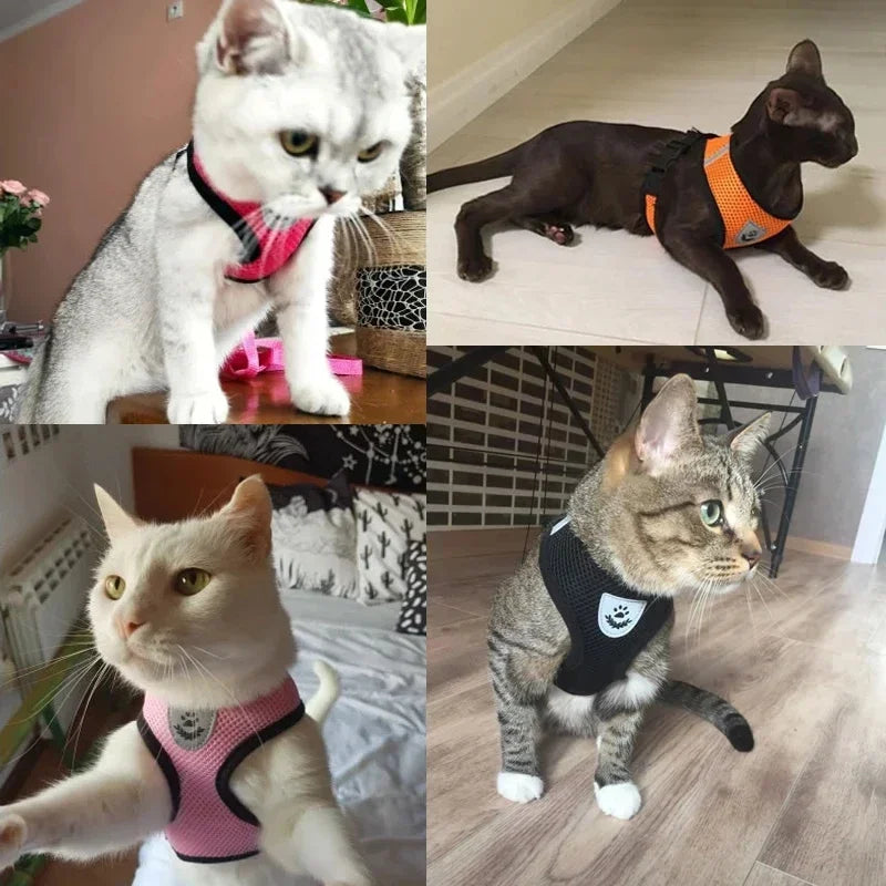 Cat Harness Vest, Adjustable Pet Harness Vest