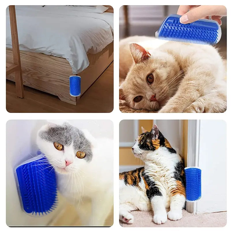 Massage Cat Corner Massage Brush
