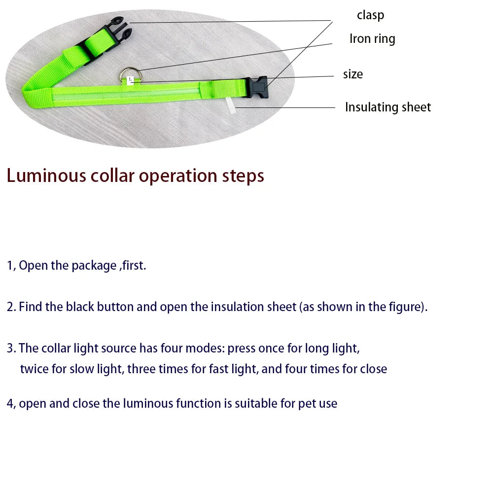 Nylon LEDLED Glow Dog Leash