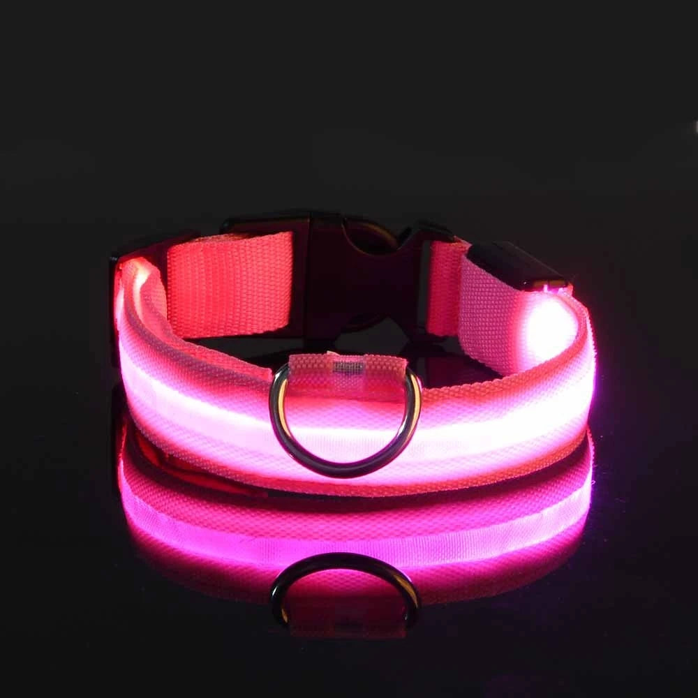Nylon LEDLED Glow Dog Leash