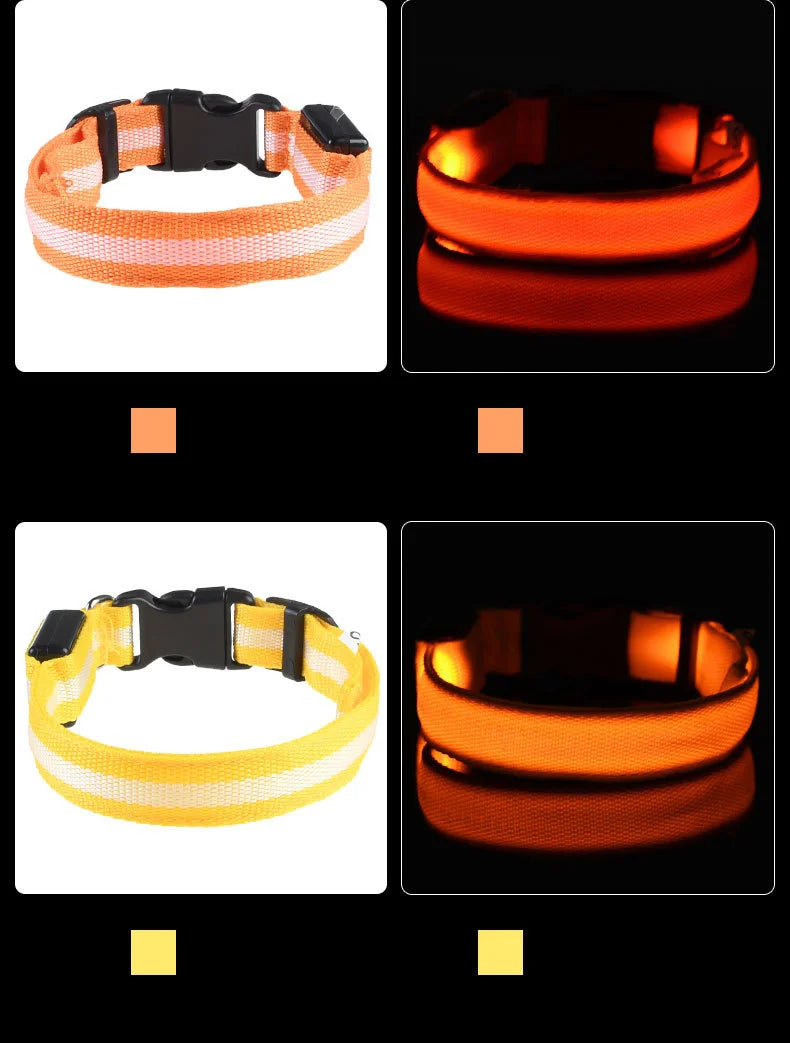 Nylon LEDLED Glow Dog Leash