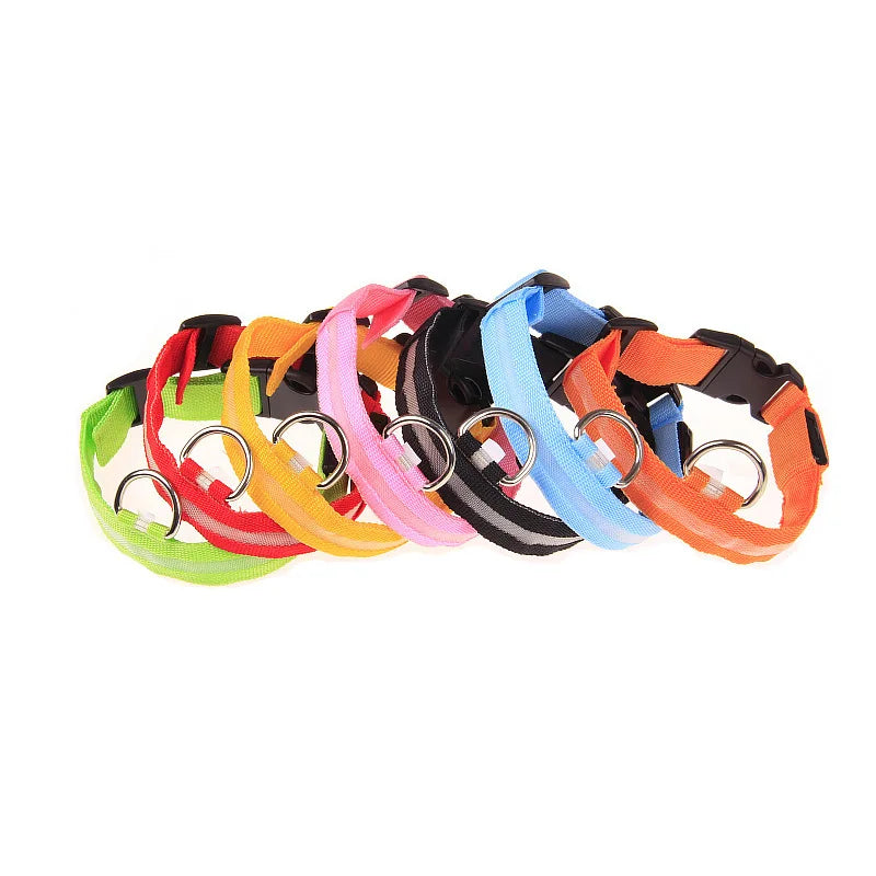 Nylon LEDLED Glow Dog Leash