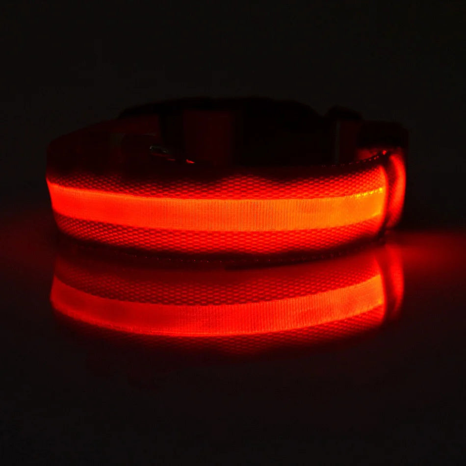 Nylon LEDLED Glow Dog Leash