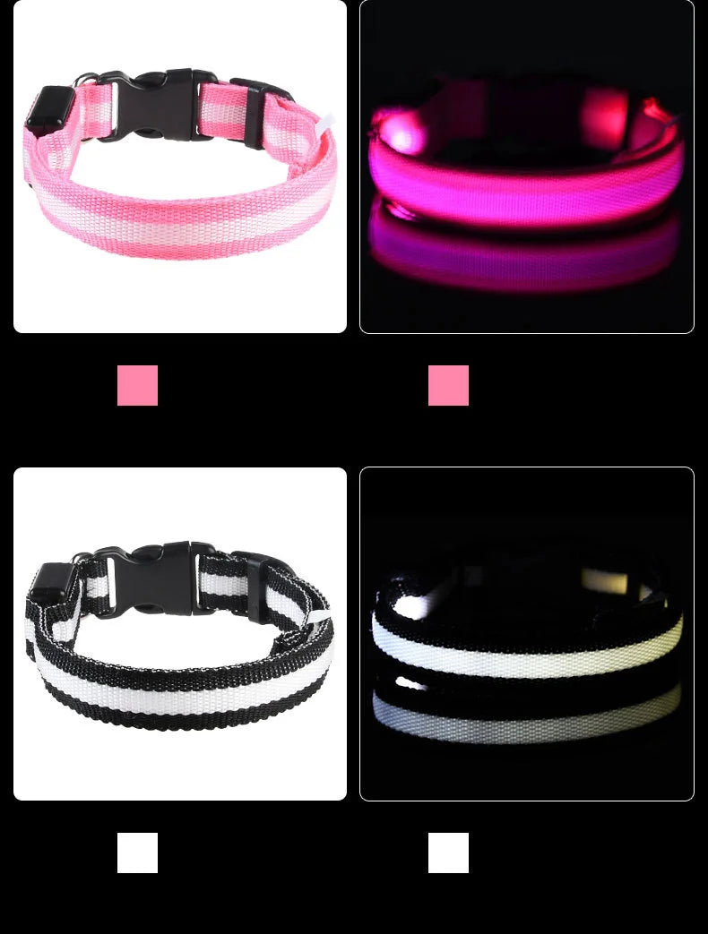 Nylon LEDLED Glow Dog Leash
