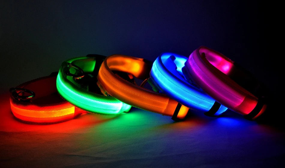 Nylon LEDLED Glow Dog Leash
