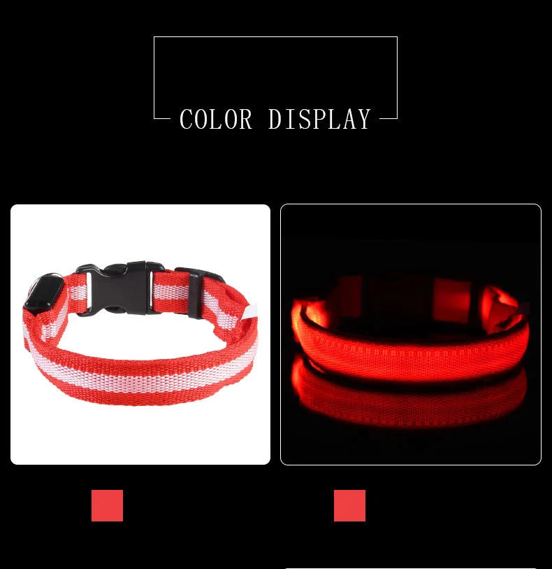 Nylon LEDLED Glow Dog Leash